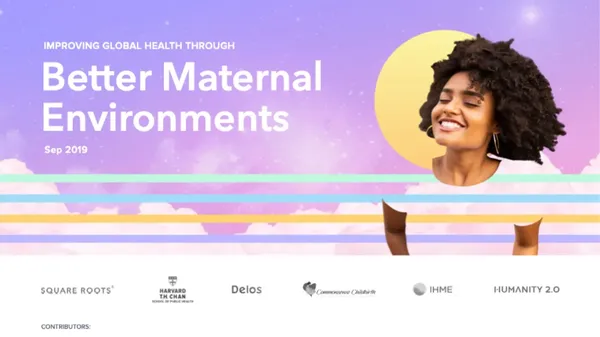 Cover of the white paper Improving Global Health Through Better Maternal Environments